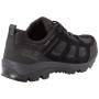 Чоловічі черевики Jack Wolfskin Vojo 3 Texapore Low M