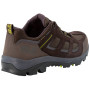 Чоловічі черевики Jack Wolfskin Vojo 3 Texapore Low M