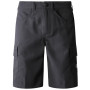 Чоловічі шорти The North Face Horizon Circular Short сірий