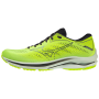 Чоловічі черевики Mizuno Wave Rider 25