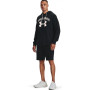 Чоловічі шорти Under Armour Rival Terry Short