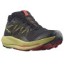 Чоловічі кросівки Salomon Pulsar Trail Gtx