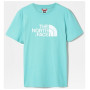 Чоловіча футболка The North Face Easy Tee