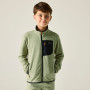 Дитяча толстовка Regatta Junior Frankie F/Z Light Sage