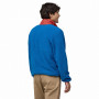 Чоловіча толстовка Patagonia M's Microdini 1/2 Zip P/O