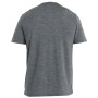 Чоловіча футболка Icebreaker M Mer 150 Tech Lite II SS Tee Tech Head