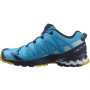 Чоловічі черевики Salomon Xa Pro 3D V8 GTX