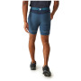 Чоловічі шорти Regatta Mountain ShortsII M