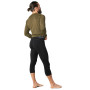 Чоловічі 3/4 термоштани Smartwool Merino 250 Baselayer 3/4 Bottom