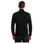 Чоловіча толстовка Icebreaker M Mer 400 RealFleece Descender LS Z