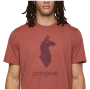 Чоловіча футболка Cotopaxi M'S Cotopaxi Llama T-Shirt