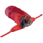 Рюкзак Deuter Futura 32