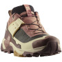 Жіночі черевики Salomon X Ultra 5 Gore-Tex