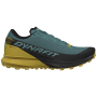 Чоловічі кросівки Dynafit Ultra Gtx чорний/зелений 0931 - Black Out/Atlantic