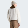 Жіноча толстовка The North Face W Extreme Pile 2 Pullover