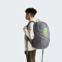 Шкільний рюкзак для 2-го ступеня The North Face Y Court Jester