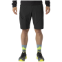 Чоловічі шорти Dynafit Traverse Hybrid Shorts M