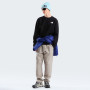 Чоловіча толстовка The North Face M Evolution Box Nse Regular Crew