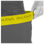 Жіночі штани Salewa Agner Light Dst Engineer W Pnt