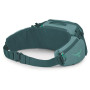 Поясна сумка Osprey Savu 5