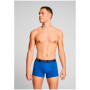 Чоловічі боксери Puma Everyday Trunk 2P