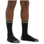 Чоловічі шкарпетки Darn Tough Hiker Micro Crew Midweight With Cushion