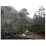 Туристичний намет Vango Nevis 100
