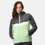 Жіноча куртка Regatta Womens Harrock II