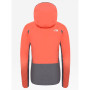 Dámská bunda The North Face Apex Flex GTX 2.0