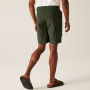 Чоловічі шорти Regatta Dalry Short