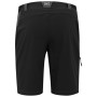 Чоловічі шорти Regatta Eldes Shorts