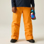 Дитячі лижні штани Dare 2b Outmove III Insulated Pant ElectricOrng
