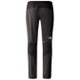 Чоловічі штани The North Face Circadian Alpine Pant