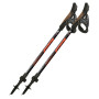 Палиці для скандинавської ходьби Fizan R-Evolution Pro