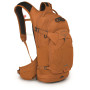 Рюкзак Osprey Raptor 14 2022