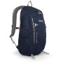 Рюкзак Regatta Survivor V4 25L