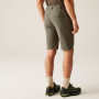Чоловічі шорти Regatta Highton Shorts Long II
