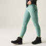 Жіночі легінси Regatta Monira Hiking Legging