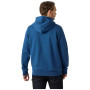 Чоловіча толстовка Helly Hansen HH Logo Hoodie