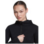 Жіноча кофта Icebreaker Women Merino Blend 200 RealFleece™ Descender LS Zip Hoodie