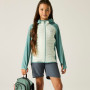 Дитяча куртка Regatta Junior Andreson Hybrid IvyMossOMist