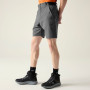 Чоловічі шорти Dare 2b Torrek II Short