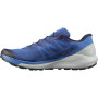 Чоловічі черевики Salomon Sense Ride 4