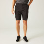 Чоловічі шорти Regatta Dalry Short