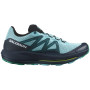 Чоловічі кросівки Salomon Pulsar Trail