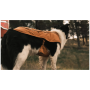 Одяг для собаки Ruffwear Overcoat Fuse™ Insulated Vest