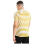 Чоловіча футболка Icebreaker Drayden SS Tee Stripe