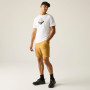 Чоловіча футболка Regatta Fingal Graphic T-Shirt