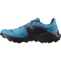 Чоловічі черевики Salomon Wildcross 2 Gore-Tex
