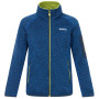 Дитяча толстовка Regatta Junior Newhill Aviator Blue Golden Cypress синій AvBlu(GldCy)